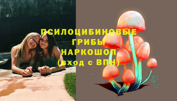 гидра Алексеевка