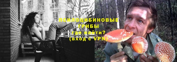 твердый Алзамай